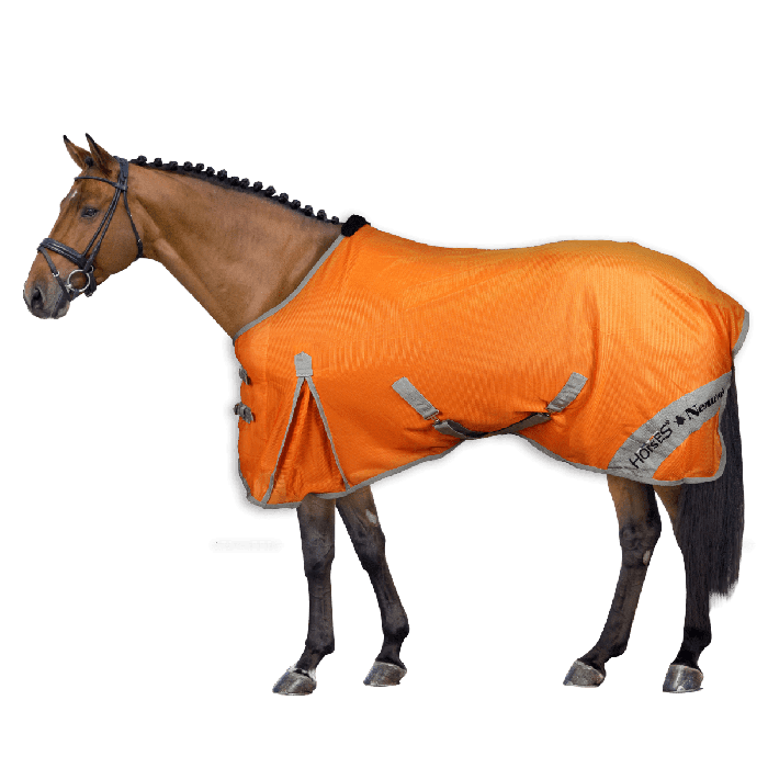 Horse Master Coperta Antimosche Per Cavalli Leggera, Con Maschera E Protezione Coda, 155 Cm, Argento, Per Equitazione Outdoor