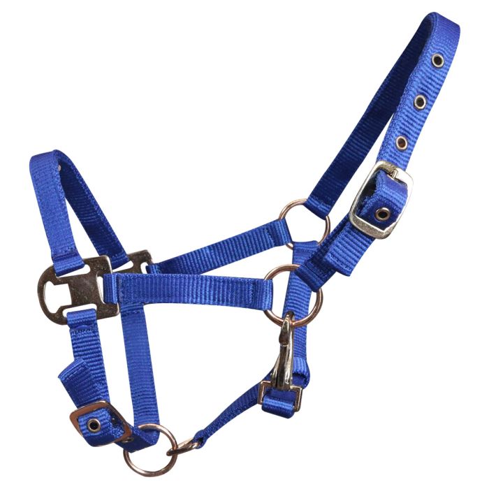 Cavezza HKM Heart Per Pony, Blu, Con Imbottitura E Fibbie Regolabili, 100% Polipropilene, Design A Cuore