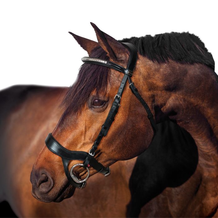 Bride Dressage II - Briderie & accessoires - Equitation