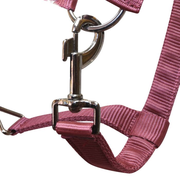 CAVEZZA IN CUOIO EQUILINE SADDLE DIVISION