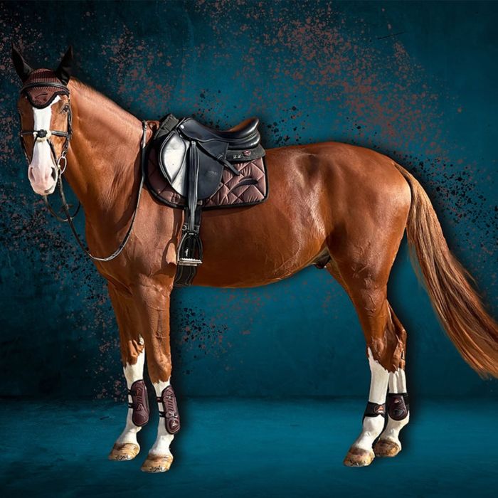 Tapis De Selle Tecno Simple - Amorti 15mm, 300g/m², Anatomique, Full/Pony, 100% Italien