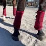 Horses Gamaschen Mesh Boots 4er Set