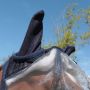 Horses Fliegenschutz Maske Fly Guard
