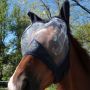 Horses Fliegenschutz Maske Fly Guard