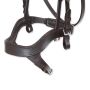 Bride Equitation Horses Tasting Pro
