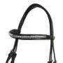 Bride Equitation Horses Tasting Pro