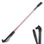 Horse Head Riding Crop