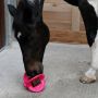 Salzstein Halter Für Bizzy Horses 