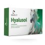 Fiale Per Aerosol Hyalusol