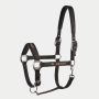 Cavezza Equiline Timmy