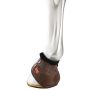 Zandonà Carbon Air Heel Bell Boots