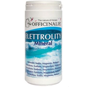 Suplemento Elettrolity Mineral