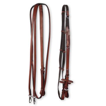 German Reins Martingale