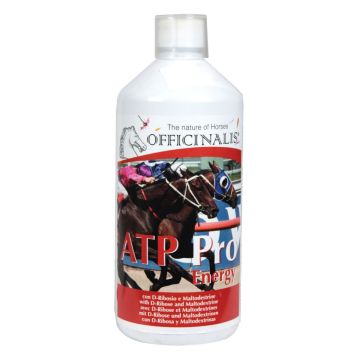 ATP Pro Energie Gagnante 