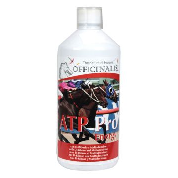 Energetisierung Atp Pro