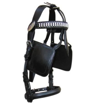 Carriage Driving Bridle