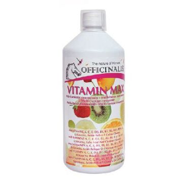  Vitamin Max Officinalis Sciroppo ml1000