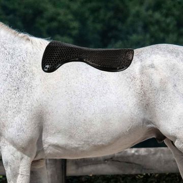 Horses Gel Pad Front Riser