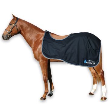 Couvre Reins Impermeabile Horses "Waterproof Exercise"