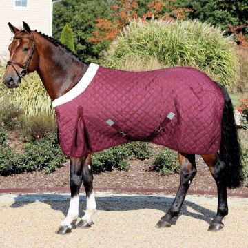 Coperta Box Horses Quazar Move 160g