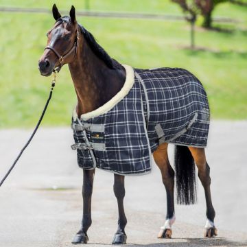 Coperta Box Horses Unique CombiLayer 250gr