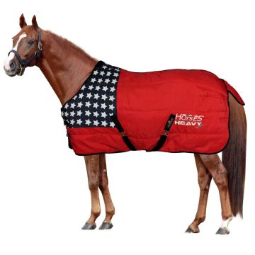 Horses Heavy West Stable Rug 400g