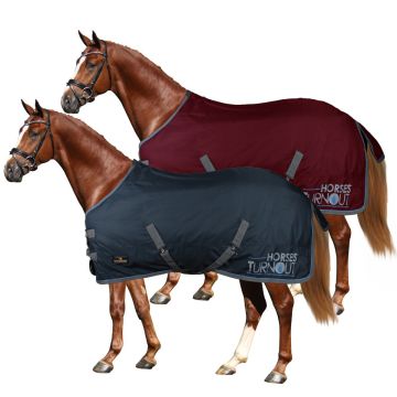 Paddock Rug Horses Turnout 400g