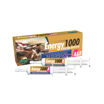 Siringa Mervue Energy1000 A&B