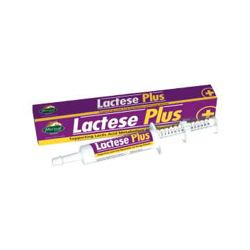 Mervue Lactese Plus Syringe 