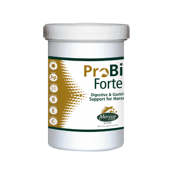 Mervue Probio Forte 