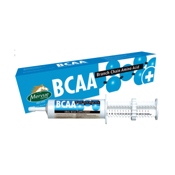 Jeringa Mervue BCAA