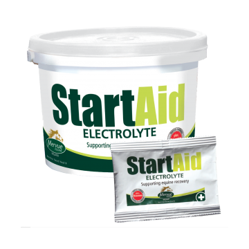 Bustine Start Aid Electrolyte