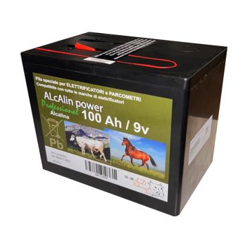 Batteria 9V 10000 Ore Alcalina