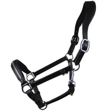 "Catania" Leather Headcollar Clincher