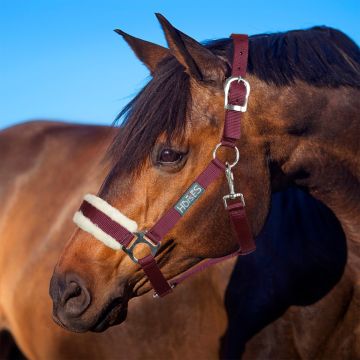 Horses Winry Halter with Fur