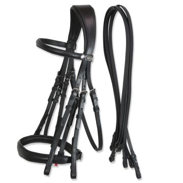 "Achen" Double Bridle with Reins