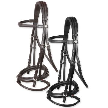 Horses Arezzo Comfort Bridle