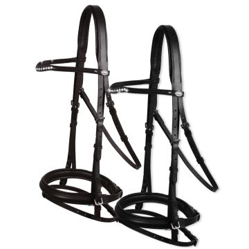 Horses Courmayeur Bridle