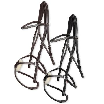 Horses Costa Rey Bridle