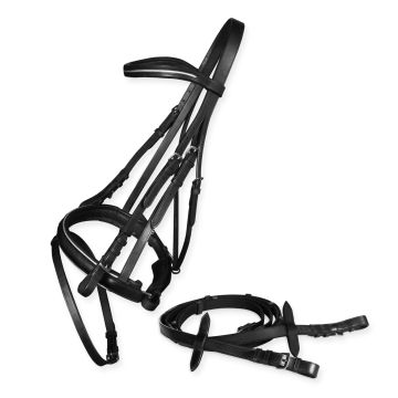 Silver Laced Bridle