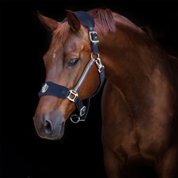 Horses Lorena Soft Headcollar