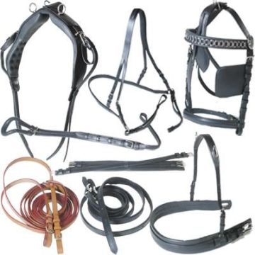 Diplomat Basic Lux Driving Harness