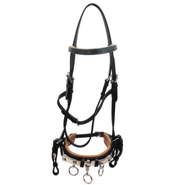 Training Halter