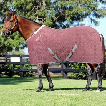 Horses Quazar Velvet Stable Rug 160g