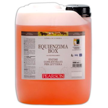 Equienzima Box Pearson 