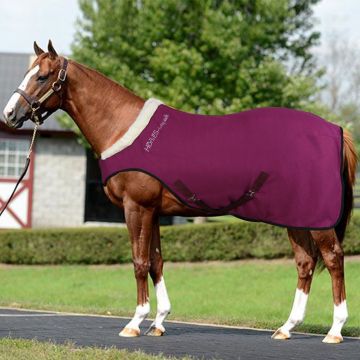 Manta Polar Caballo Horses Cosy Walk