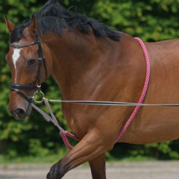 Waldhausen Longierhilfe aus Seil 