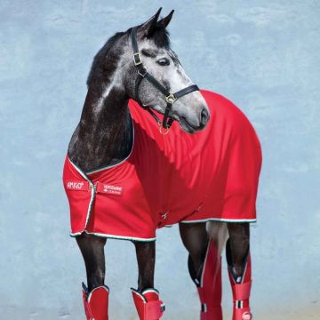 Couverture Amigo Jersey Cooler Horseware 