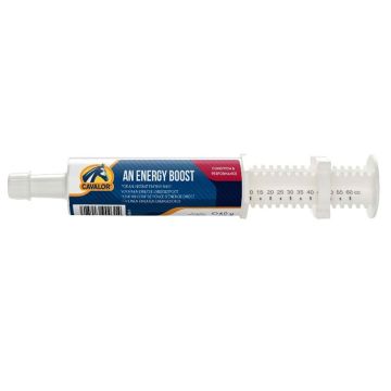 Cavalor An Energy Boost Syringe 