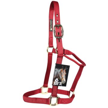 Cavezza Bicolore Big-D 